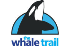 Charity Race Partner